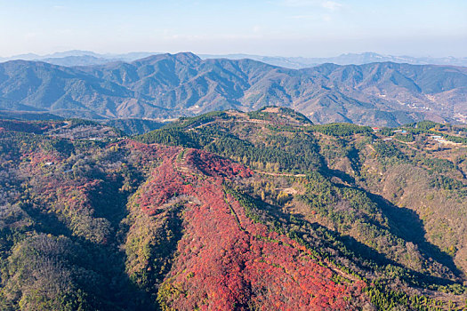 航拍济南章丘垛庄红叶漫山