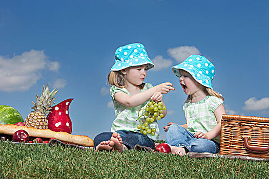 两个女孩,分享,葡萄,野餐