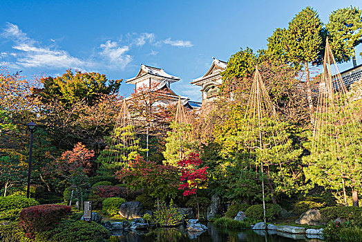 风景,花园,秋天,树,水塘,塔,背景