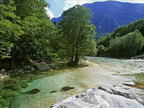 河,露营,斯洛文尼亚