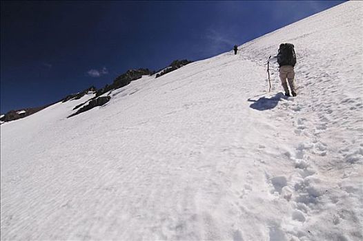 长途旅行者,向上,雪,斜坡,高处,巴里洛切,巴塔哥尼亚,阿根廷