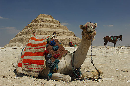 埃及开罗阶梯金字塔