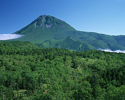 山,宽阔,树林