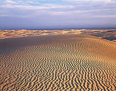 加利福尼亚,沙丘,图案,格拉密斯,大幅,尺寸