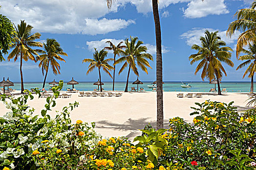 毛里求斯,西海岸,热带沙滩