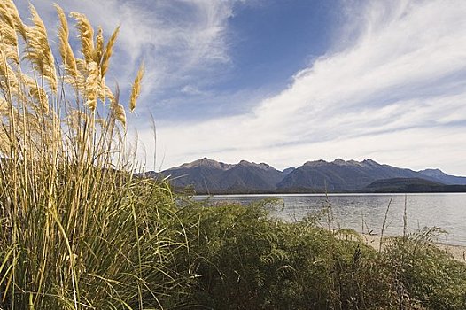 山峦,峡湾,国家,公园,南岛,新西兰