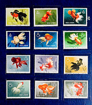 金鱼收藏邮票