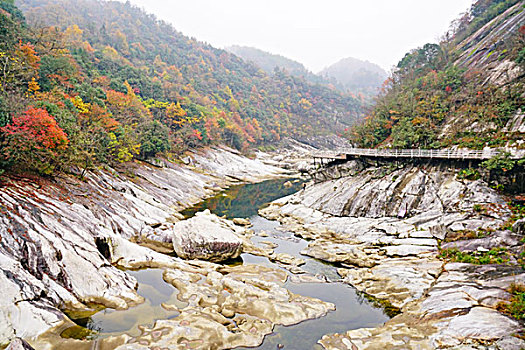 瀑布,红叶,流水,山泉