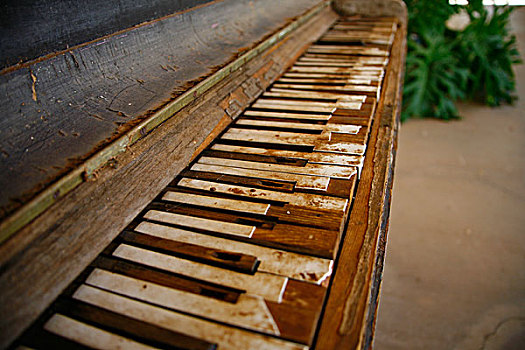 老,钢琴,澳大利亚