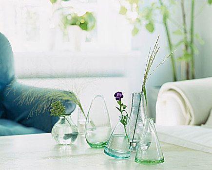 多样,玻璃花瓶,花,草