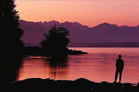岛屿,黄昏,环太平洋国家公园,不列颠哥伦比亚省,加拿大