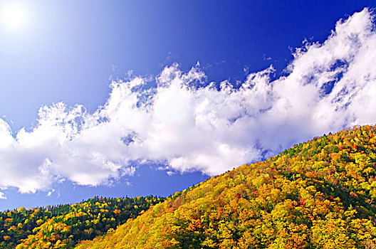 鲜明,山脉,秋叶,蓝天,云