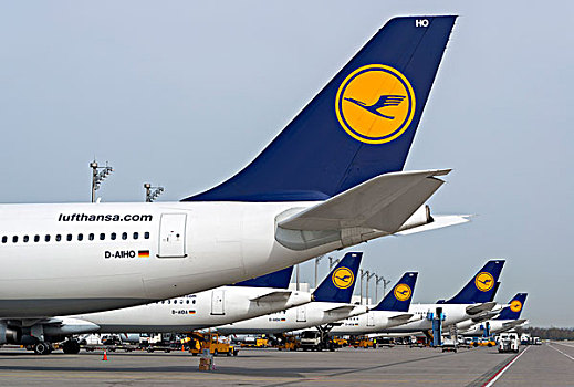 飞机,德国,汉莎航空公司,停放,位置,航站楼,慕尼黑,机场,上巴伐利亚,巴伐利亚,欧洲