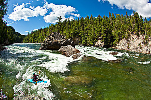 女青年,短桨,一个,许多,海浪,波浪,清水,河,不列颠哥伦比亚省,加拿大