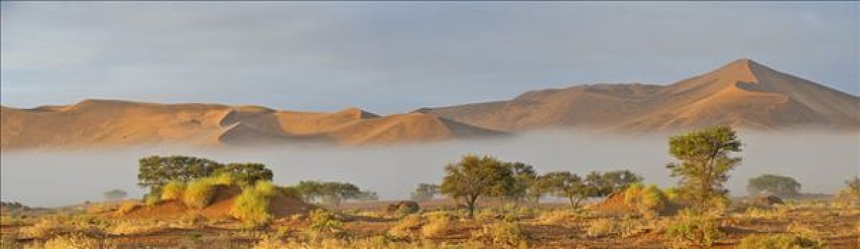 日出,上方,晨雾,纳米布沙漠,靠近,索苏维来地区,纳米比亚,非洲