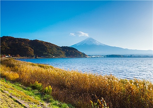 山,富士山,湖