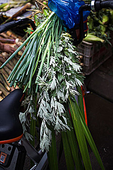 端午节,中药,陈艾,习俗