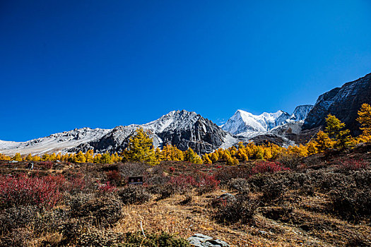 世界自然遗产四川稻城亚丁秋日的雪山与彩林