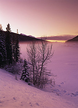 日落,上方,风景,冬天,药湖,碧玉国家公园,艾伯塔省,加拿大