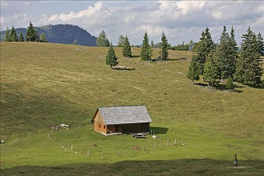 高山,小屋,山区,施蒂里亚,奥地利