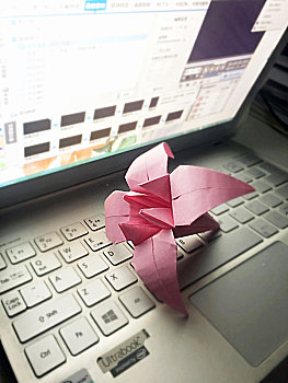 纸折百合花