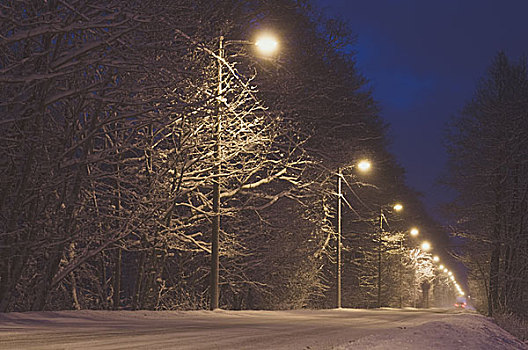 乡村,道路,遮盖,雪,夜晚