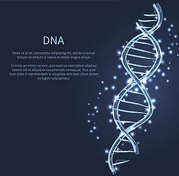 基因,代码,建筑,象征,矢量,插画,染色体,光彩,亮光,白色,发光,基因密码,隔绝,深蓝,背景,文字