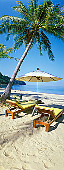 沙滩,棕榈树,折叠躺椅,皮质带,海滩,安达曼海,泰国,亚洲