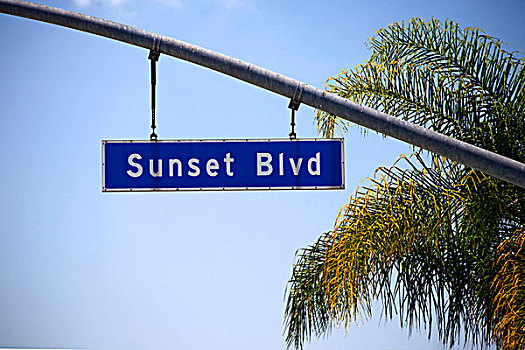 美国,加利福尼亚,洛杉矶,日落,大道,路标,棕榈树,好莱坞