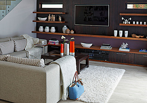 优雅,休闲沙发,区域,苍白,沙发,相对,墙壁,涂绘,暗色,紫色,木质,架子,纯平显示器,电视