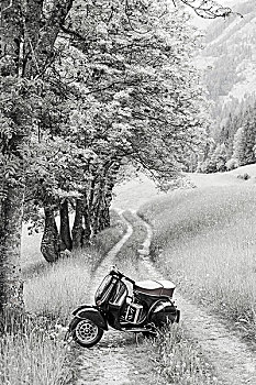 摩托车,地点,小路,山景,黑白
