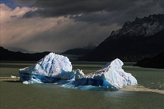 冰山,泻湖,灰色,托雷德裴恩国家公园,巴塔哥尼亚,智利,南美