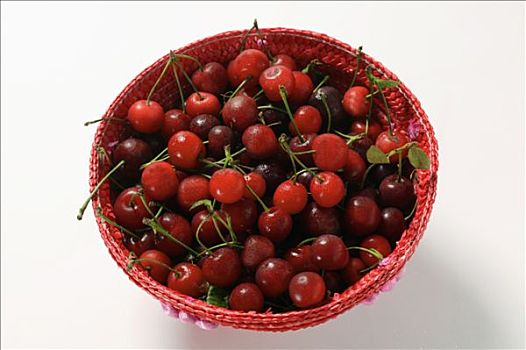 许多,欧洲酸樱桃,红色,篮子