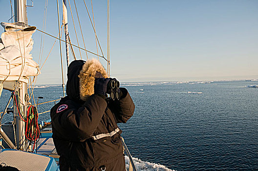 挪威,斯瓦尔巴群岛,斯匹次卑尔根岛,摄影师,熊,看,北极熊,帆船,海岸