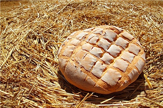 小面包,圆,金色,小麦,稻草