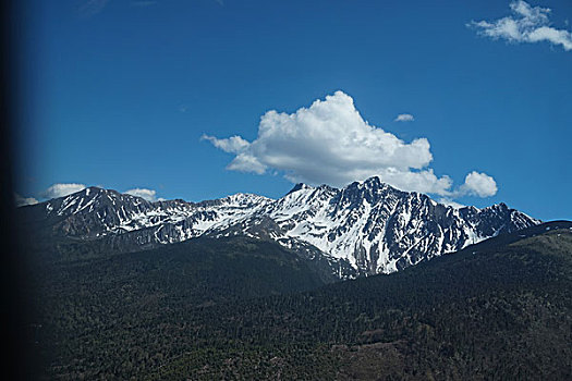 云南白马雪山