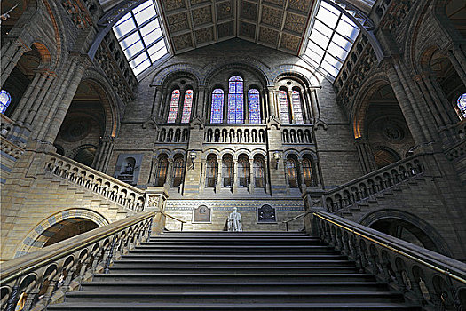 英格兰,伦敦,南肯辛顿,大理石,雕塑,顶端,楼梯,中心,大厅,自然历史博物馆