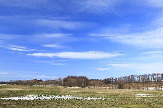 草地,蓝天