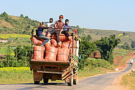 卡劳,乡村道路,卡车,包,橘子,掸邦,缅甸