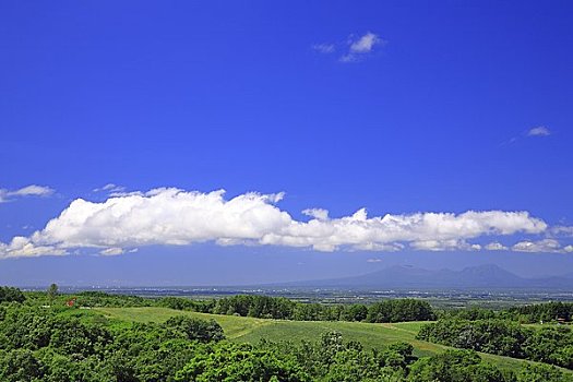 绿色,山,蓝天