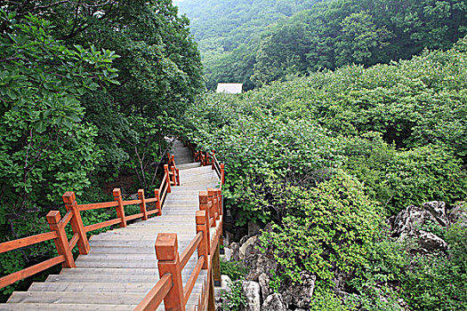 河北祖山风景区