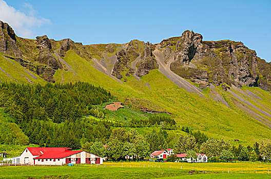 冰岛,南,区域,农场,环路,悬崖,高处