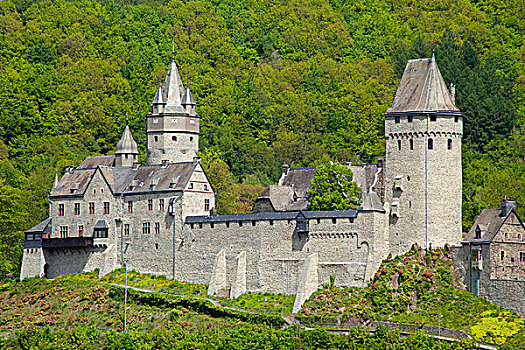 城堡,藻厄兰,区域,北莱茵-威斯特伐利亚,德国,欧洲