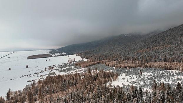 新疆哈密,雪后天山森林金染银