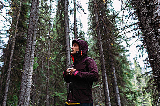 仰视,中年,男人,树林,紧固,防水,外套,看别处,冰碛湖,班芙国家公园,艾伯塔省,加拿大