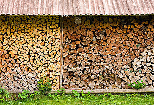 一堆,木柴,国家公园,立陶宛,欧洲