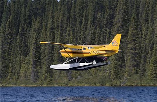降落,水上飞机,两栖飞机,北美驯鹿,湖,不列颠哥伦比亚省,育空地区,加拿大,北美