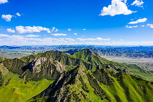 青海海西,都兰花海,都兰海寺花海,风光航拍,风光摄影,风景摄影