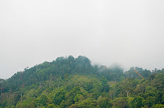 马来西亚神山的云雾