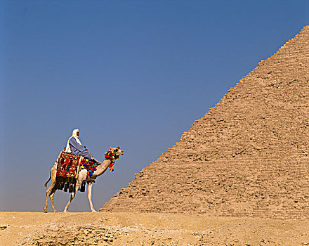 埃及,开罗,吉萨金字塔,卡夫拉,金字塔,骆驼,驾驶员